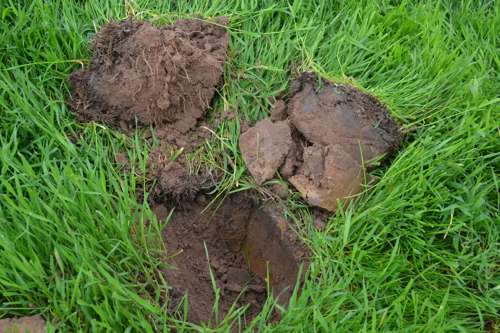 260 Burns Munn Road, Edenhope, VIC, 3318 - Image 2