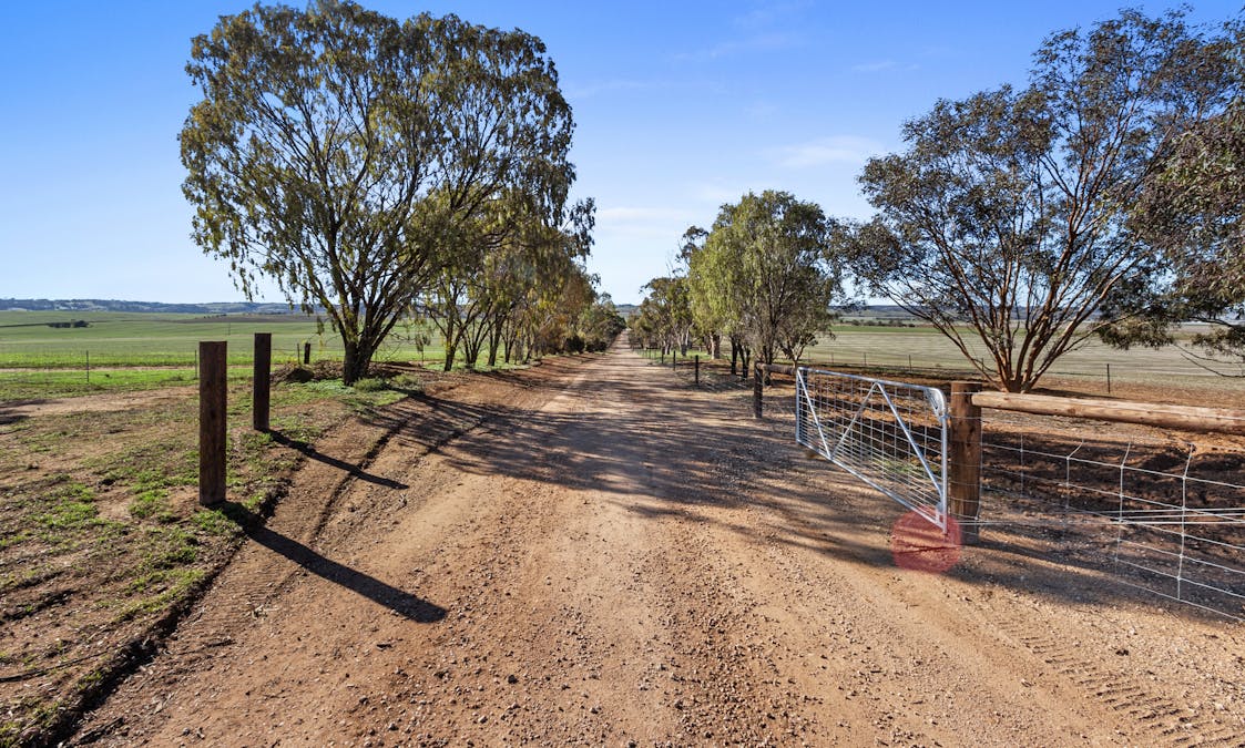 528 Kybunga Top Road, Kybunga, SA, 5453 - Image 32