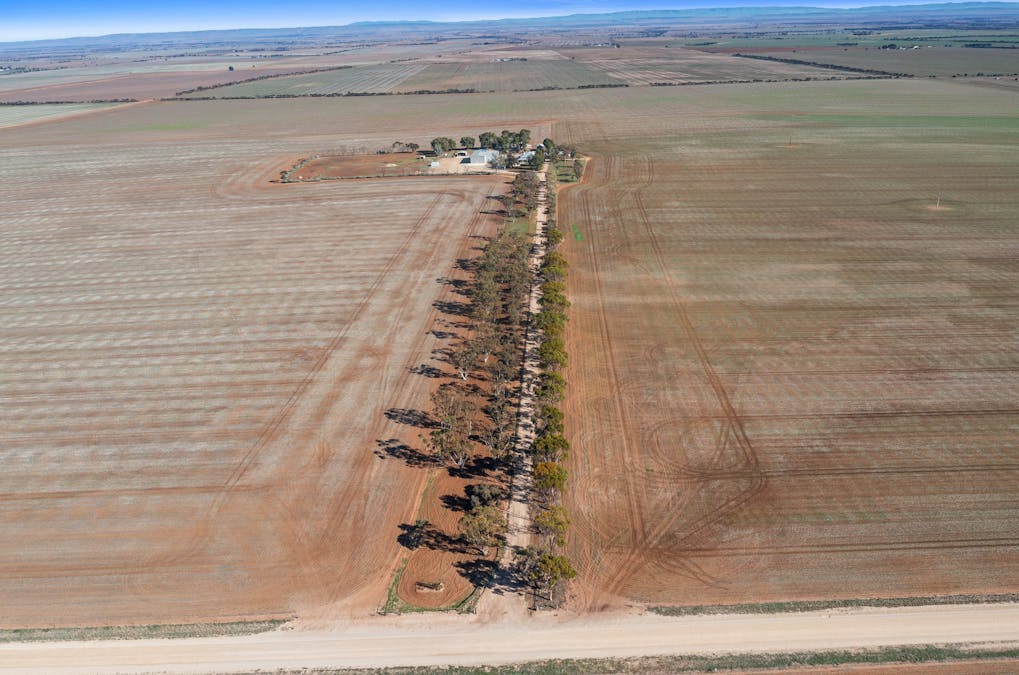 528 Kybunga Top Road, Kybunga, SA, 5453 - Image 35