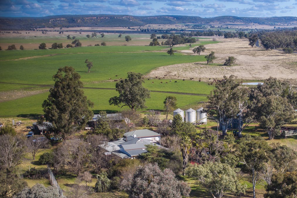 Pilca Butta 2178 Black Stump Way, Coolah, NSW, 2843 - Image 16