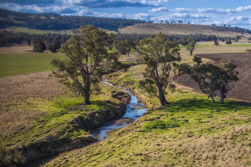 Pilca Butta 2178 Black Stump Way, Coolah, NSW, 2843 - Image 2