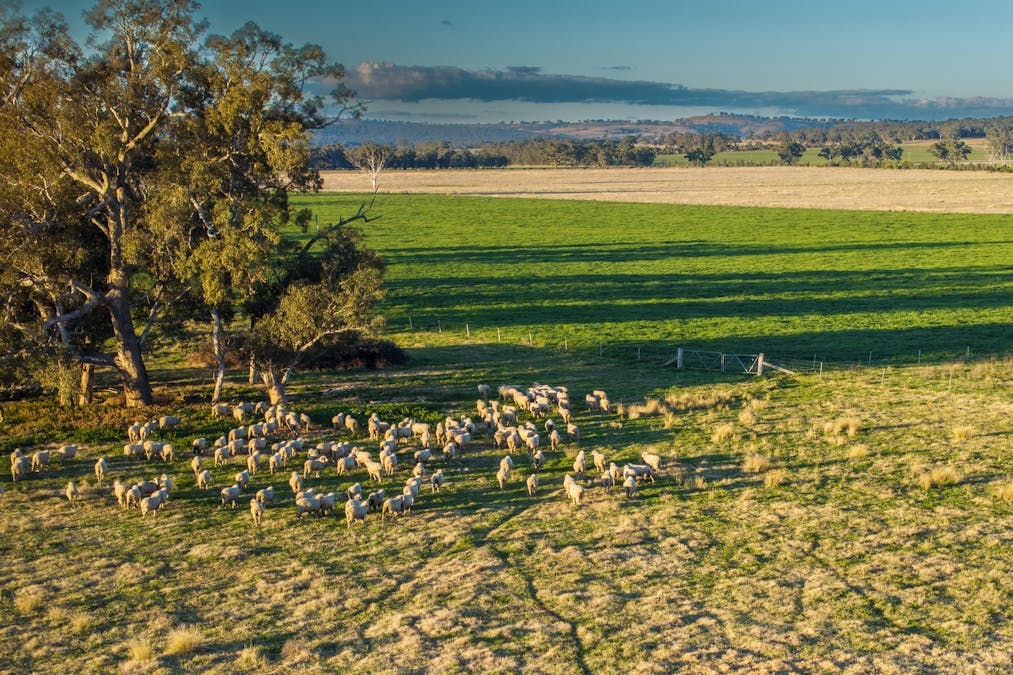 Pilca Butta 2178 Black Stump Way, Coolah, NSW, 2843 - Image 28