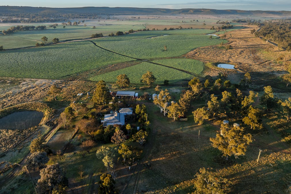 Pilca Butta 2178 Black Stump Way, Coolah, NSW, 2843 - Image 6