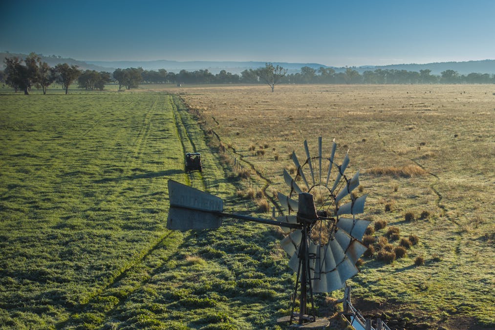 Pilca Butta 2178 Black Stump Way, Coolah, NSW, 2843 - Image 12