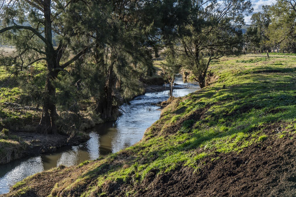 Pilca Butta 2178 Black Stump Way, Coolah, NSW, 2843 - Image 10