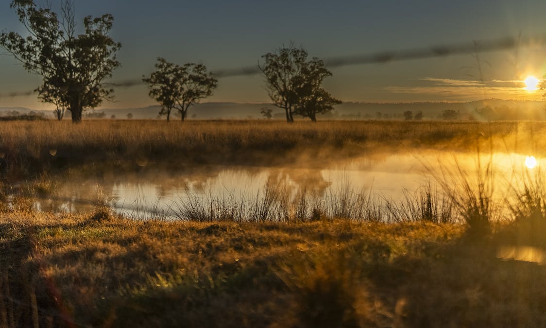 Pilca Butta 2178 Black Stump Way, Coolah, NSW, 2843 - Image 17