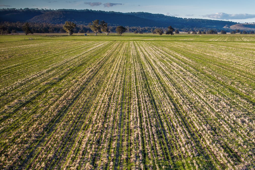 Pilca Butta 2178 Black Stump Way, Coolah, NSW, 2843 - Image 30