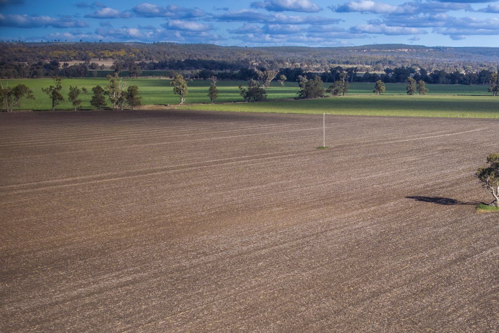 Pilca Butta 2178 Black Stump Way, Coolah, NSW, 2843 - Image 25