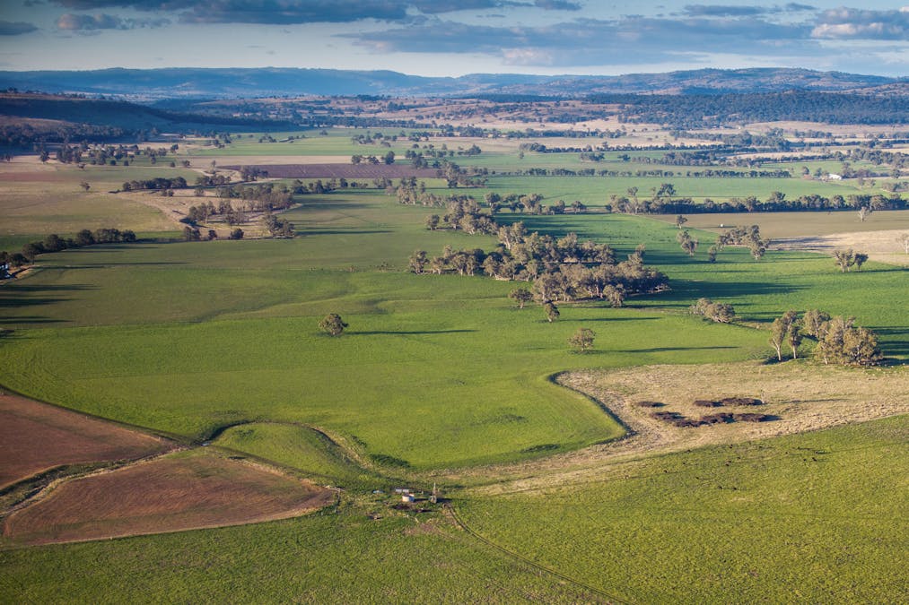 Pilca Butta 2178 Black Stump Way, Coolah, NSW, 2843 - Image 33