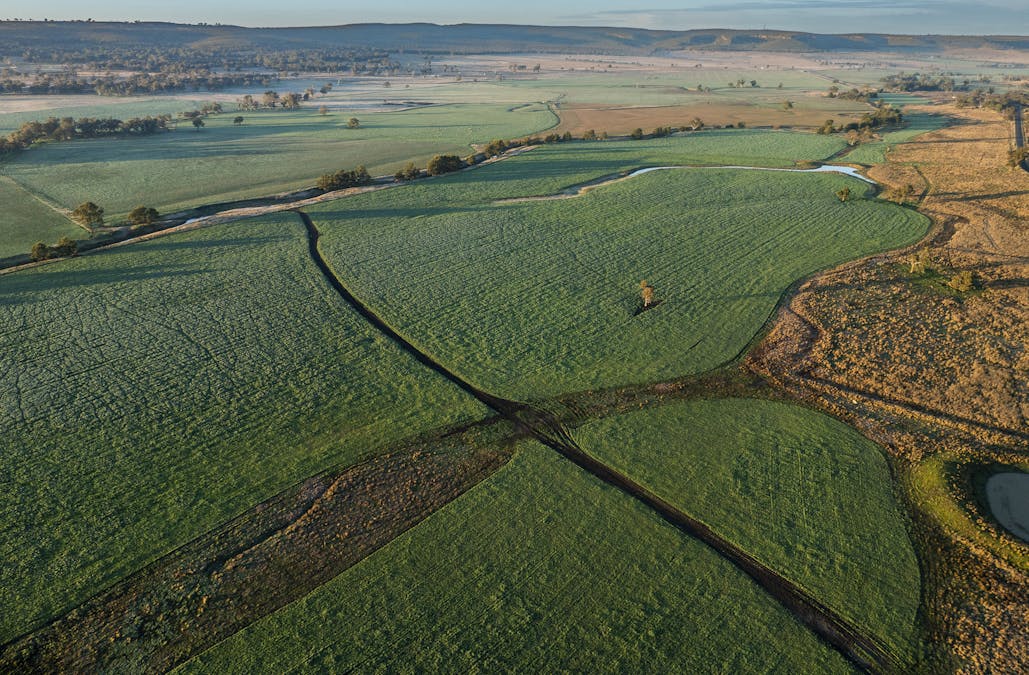 Pilca Butta 2178 Black Stump Way, Coolah, NSW, 2843 - Image 35