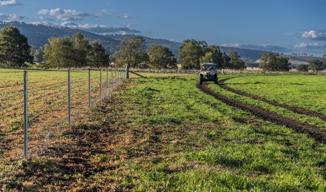 Pilca Butta 2178 Black Stump Way, Coolah, NSW, 2843 - Image 14