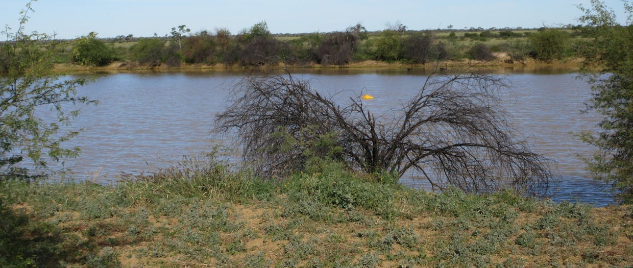 715 Royston Lane, Longreach, QLD, 4730 - Image 14