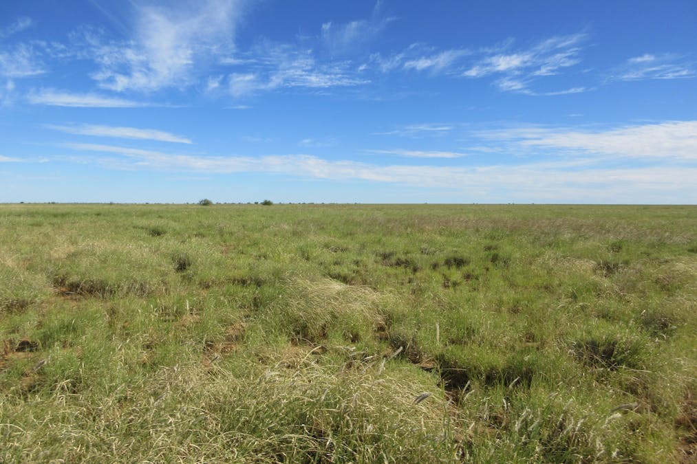 715 Royston Lane, Longreach, QLD, 4730 - Image 2