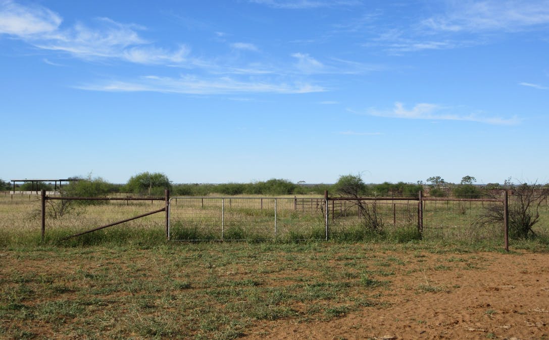 715 Royston Lane, Longreach, QLD, 4730 - Image 11