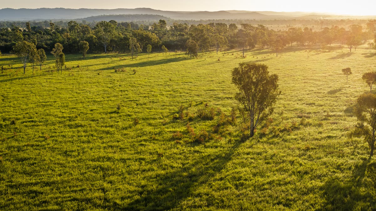 170 Redbank Road, Morinish, QLD, 4702 - Image 3