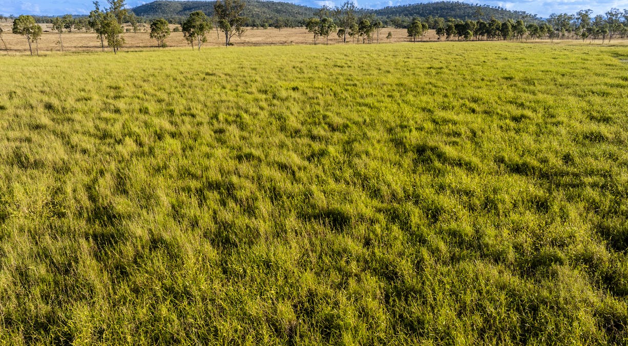 170 Redbank Road, Morinish, QLD, 4702 - Image 16