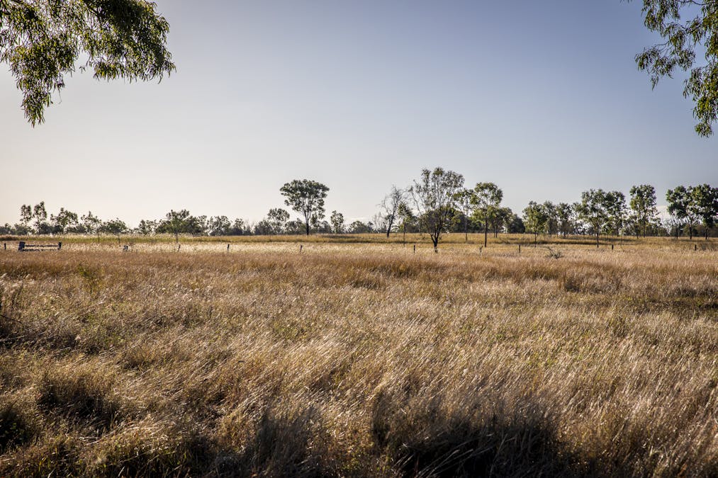 170 Redbank Road, Morinish, QLD, 4702 - Image 19