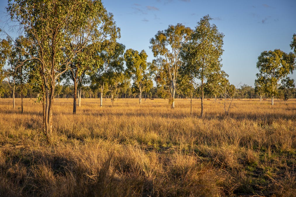 170 Redbank Road, Morinish, QLD, 4702 - Image 5