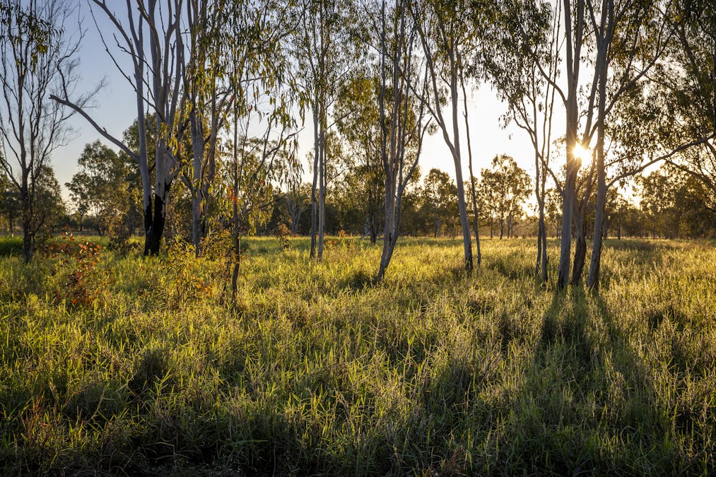 170 Redbank Road, Morinish, QLD, 4702 - Image 10