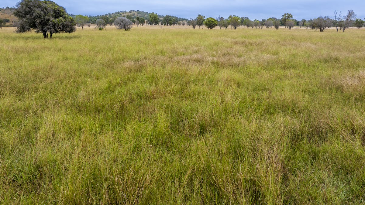 170 Redbank Road, Morinish, QLD, 4702 - Image 15