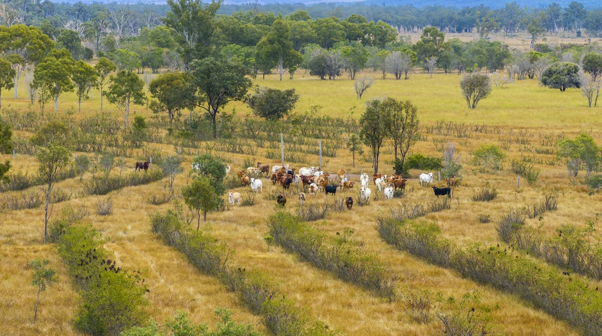 170 Redbank Road, Morinish, QLD, 4702 - Image 13