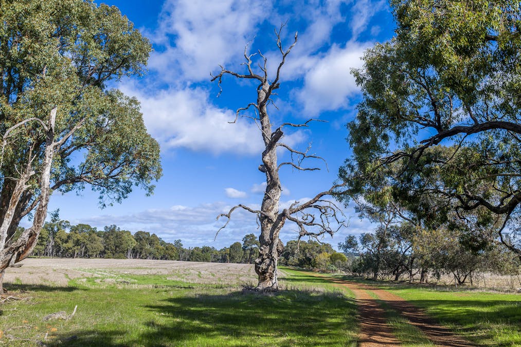 284 Wariin Road, Woottating, WA, 6562 - Image 7