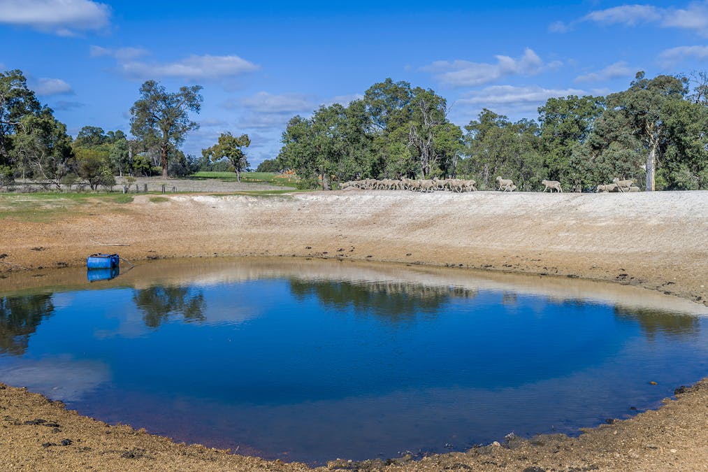 284 Wariin Road, Woottating, WA, 6562 - Image 11