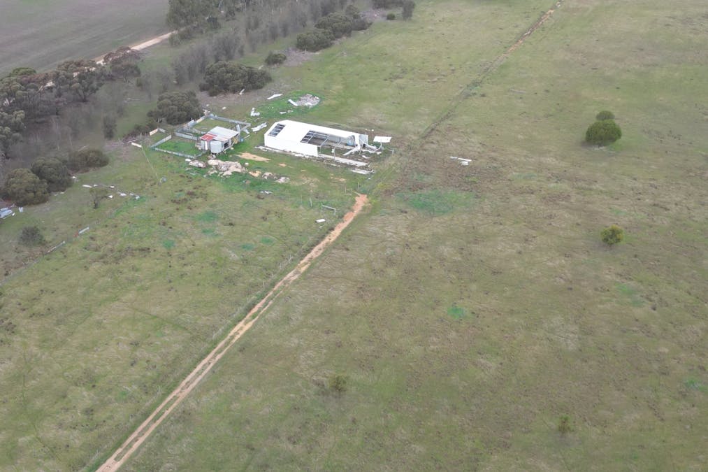 3 Thomson Street, Katanning, WA, 6317 - Image 7