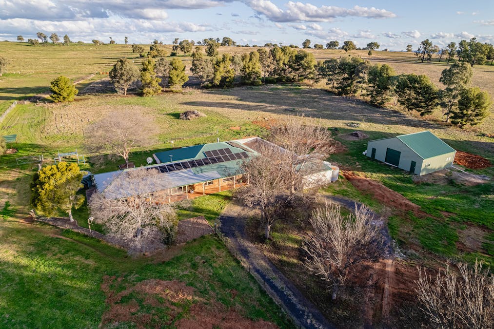 The Croft 484 Comobella Road, Geurie, NSW, 2818 - Image 24