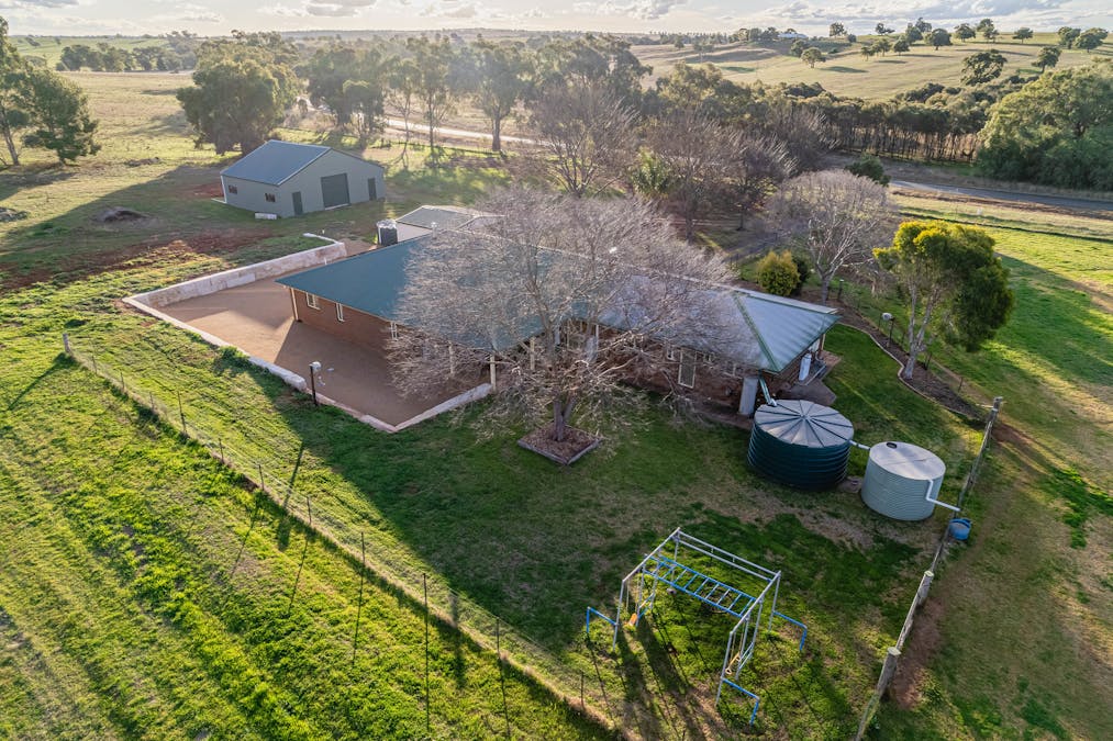 The Croft 484 Comobella Road, Geurie, NSW, 2818 - Image 25