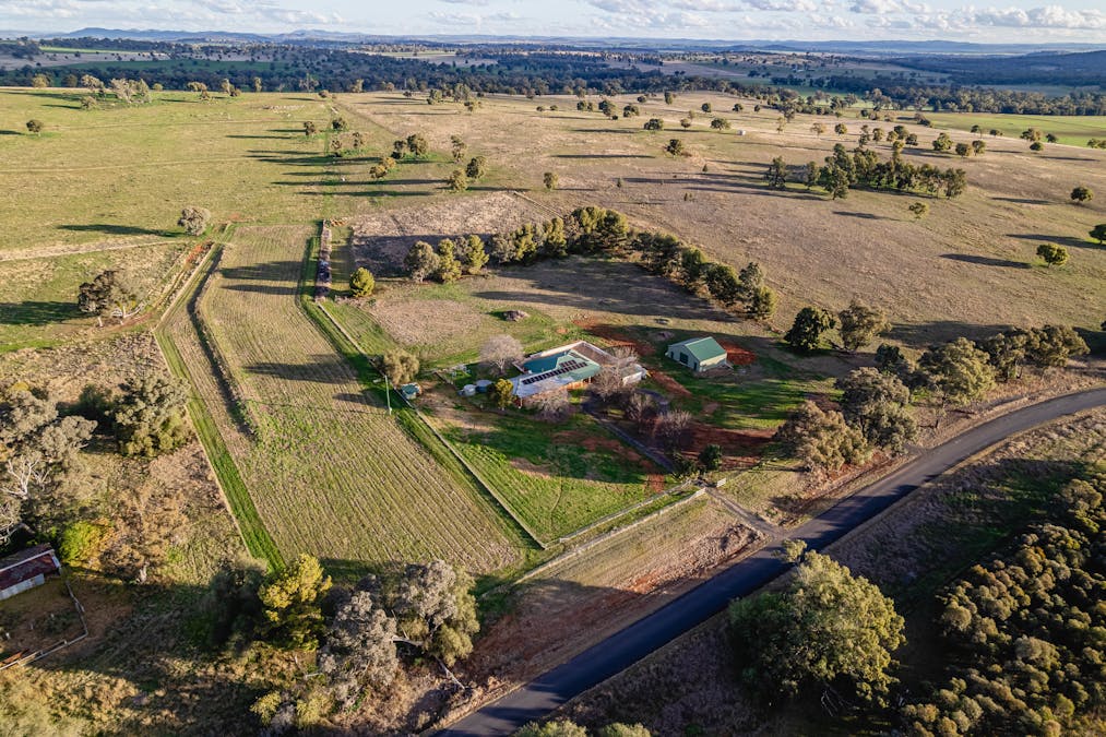 The Croft 484 Comobella Road, Geurie, NSW, 2818 - Image 26