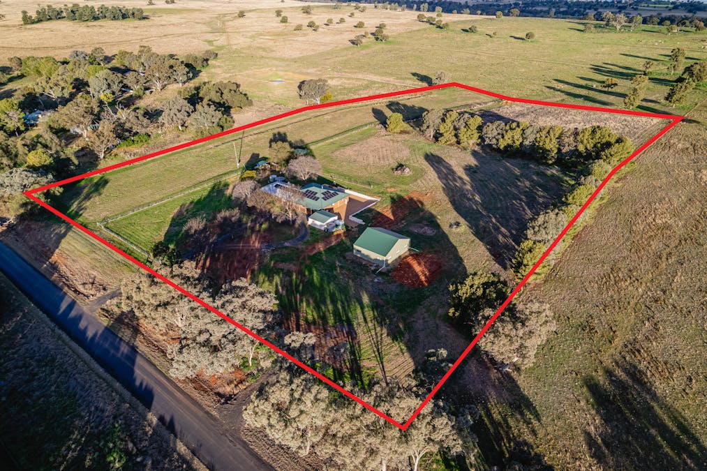 The Croft 484 Comobella Road, Geurie, NSW, 2818 - Image 31