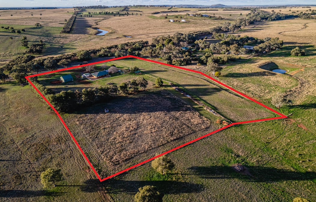 The Croft 484 Comobella Road, Geurie, NSW, 2818 - Image 29