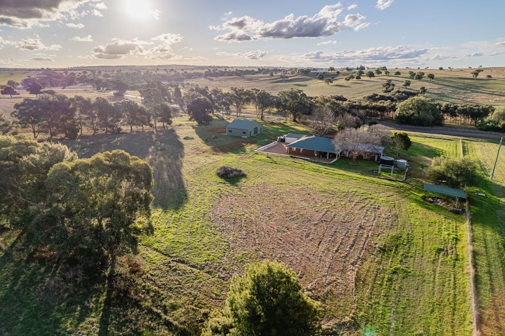 The Croft 484 Comobella Road, Geurie, NSW, 2818 - Image 1