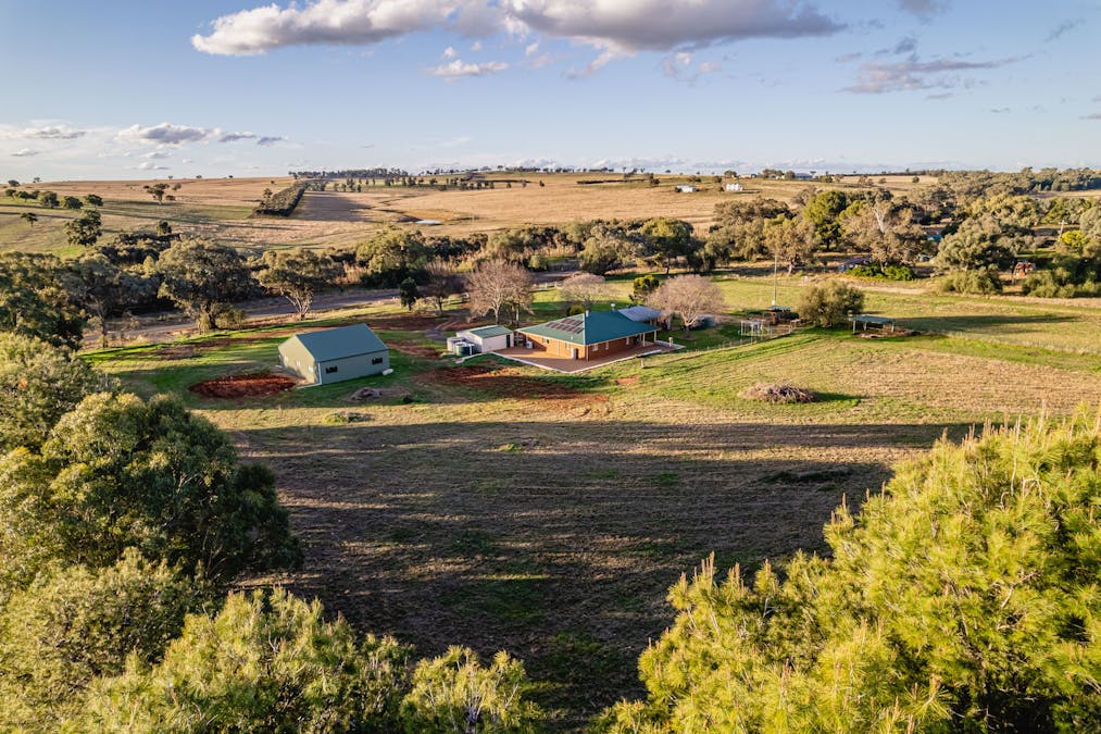 The Croft 484 Comobella Road, Geurie, NSW, 2818 - Image 30