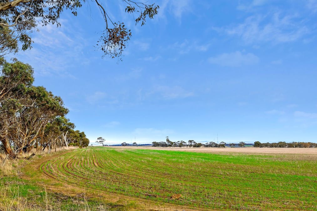 Lot 1 Thompson Road, Maude, VIC, 3331 - Image 8
