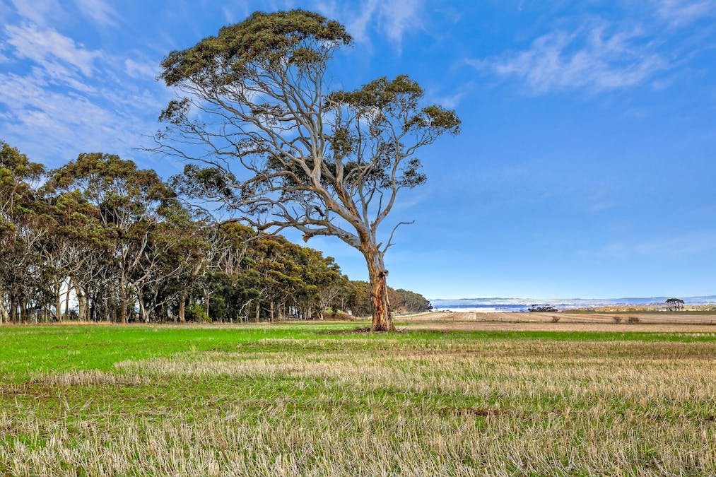 Lot 1 Thompson Road, Maude, VIC, 3331 - Image 2