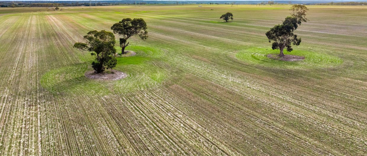 Lot 1 Thompson Road, Maude, VIC, 3331 - Image 4