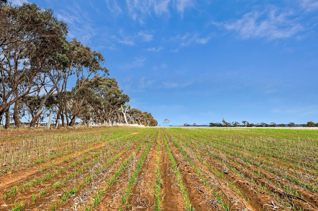 Lot 1 Thompson Road, Maude, VIC, 3331 - Image 5