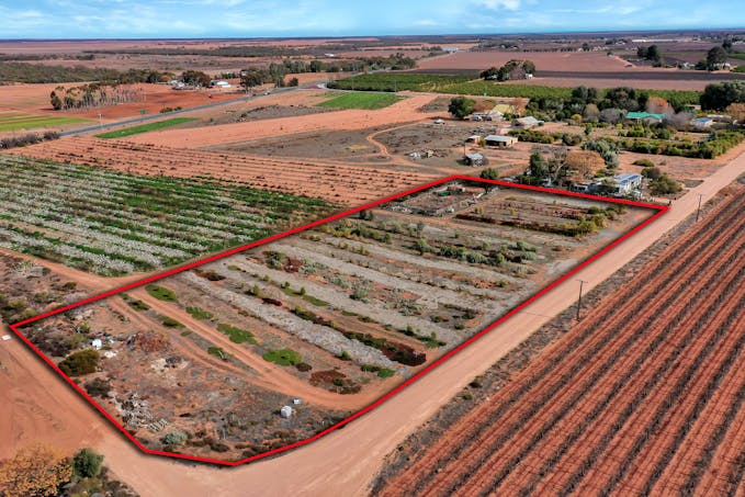 44/Segneri Road, Waikerie, SA, 5330 - Image 1