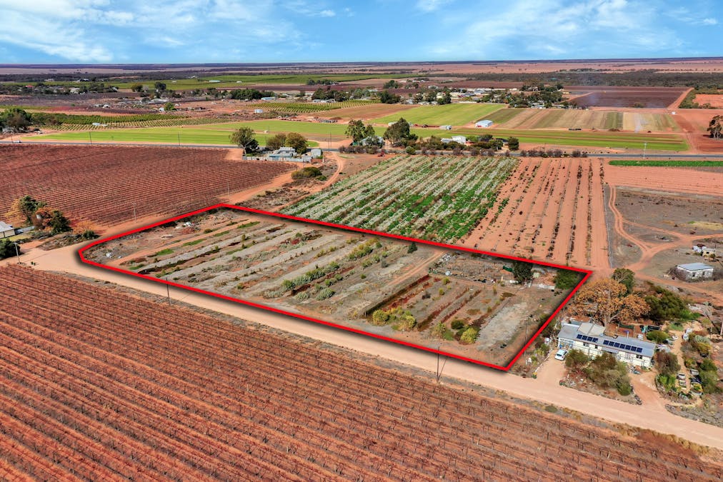 44/Segneri Road, Waikerie, SA, 5330 - Image 3