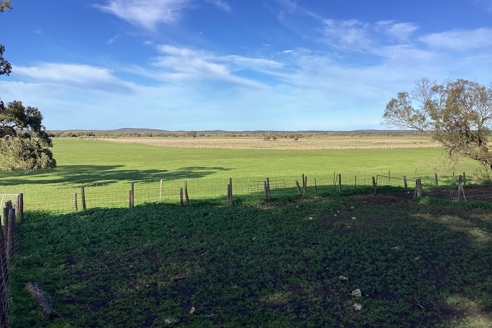 Lot 101 Schaefer Road, Seddon, SA, 5223 - Image 3