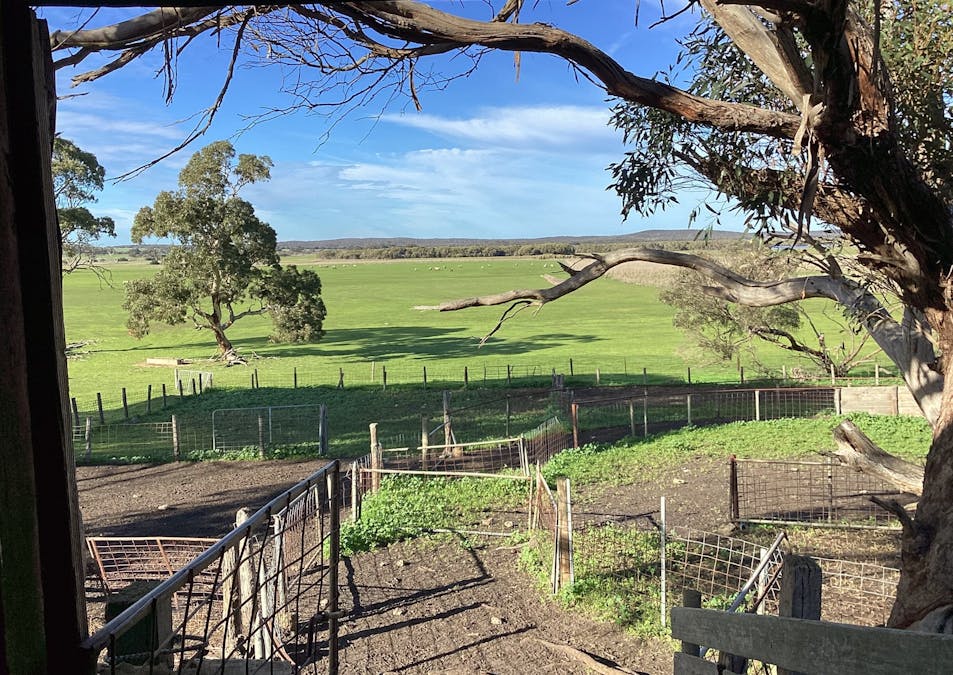 Lot 101 Schaefer Road, Seddon, SA, 5223 - Image 6