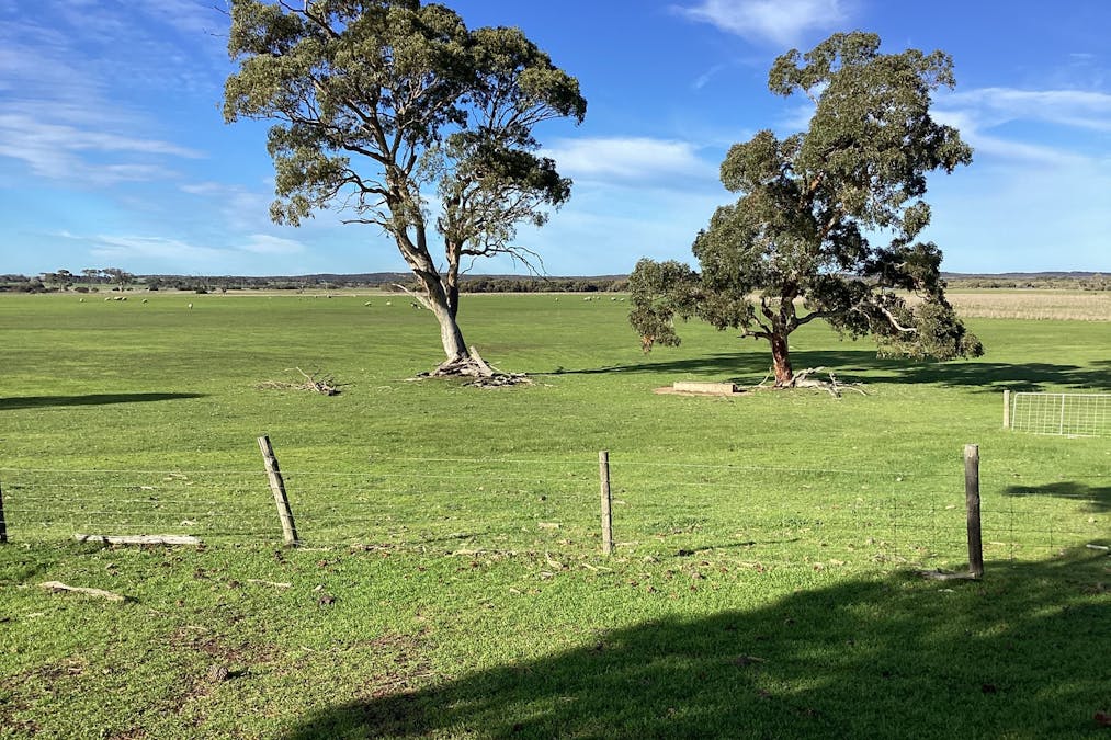 Lot 101 Schaefer Road, Seddon, SA, 5223 - Image 4