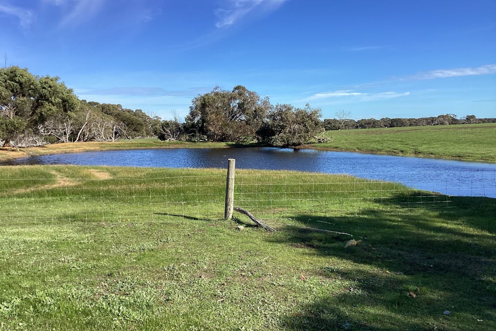 Lot 101 Schaefer Road, Seddon, SA, 5223 - Image 9