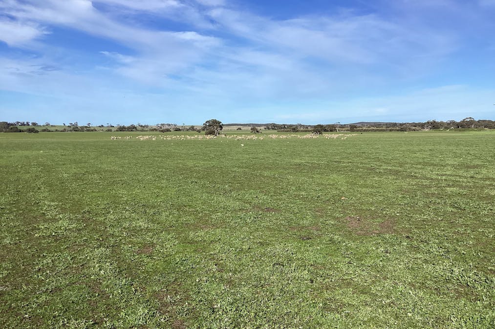 Lot 101 Schaefer Road, Seddon, SA, 5223 - Image 13