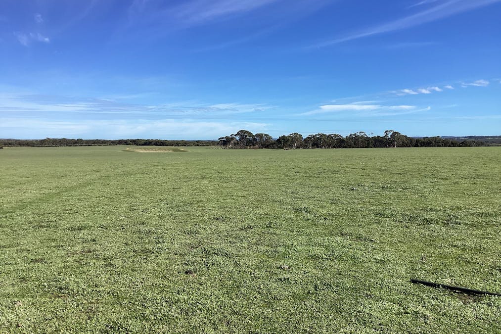 Lot 101 Schaefer Road, Seddon, SA, 5223 - Image 16