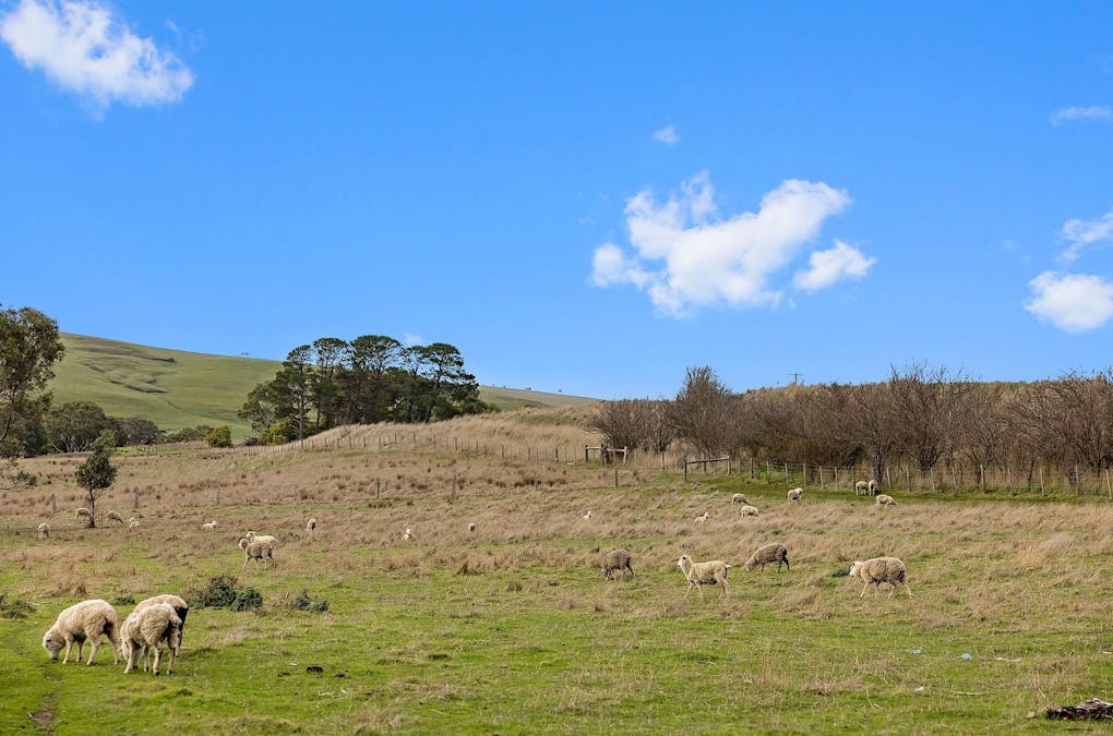 3148 Cavendish-Coleraine Road, Coleraine, VIC, 3315 - Image 13