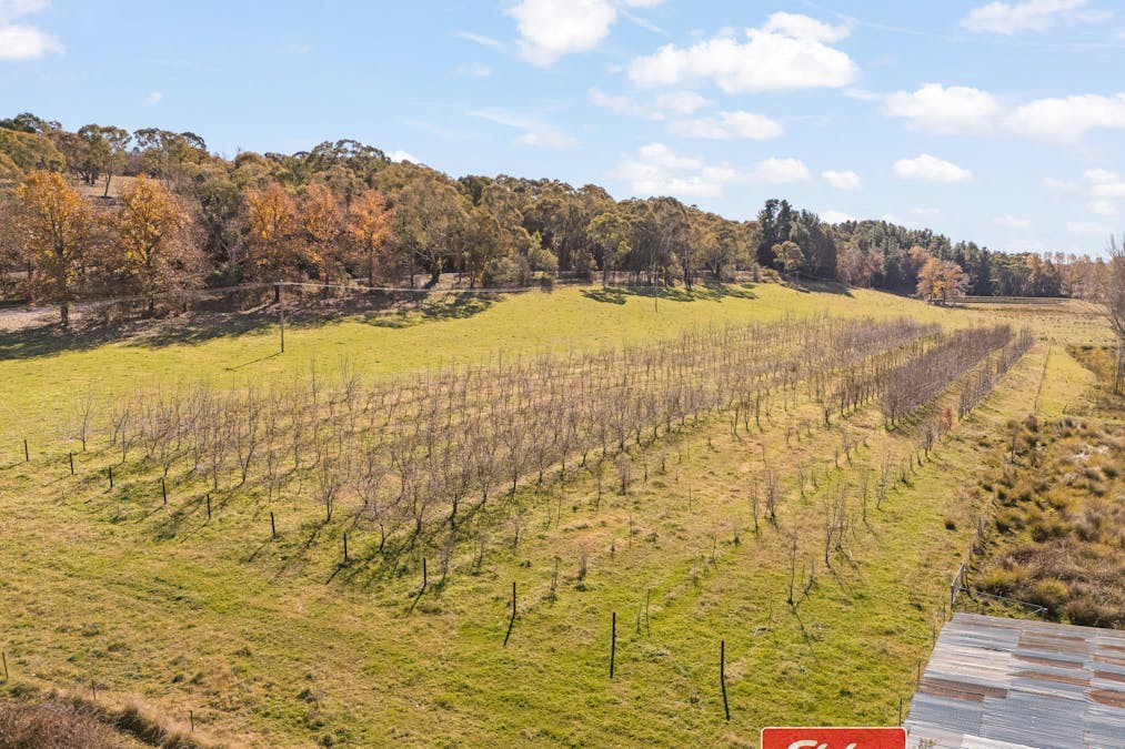 303 Lake Canobolas Road, Canobolas, NSW, 2800 - Image 23