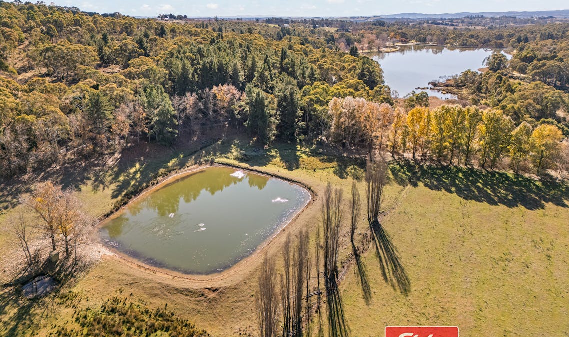 303 Lake Canobolas Road, Canobolas, NSW, 2800 - Image 18
